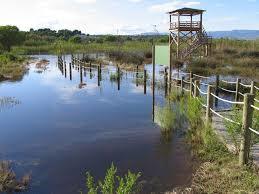 Acequia Mayor